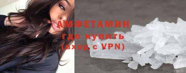 стаф Каменка