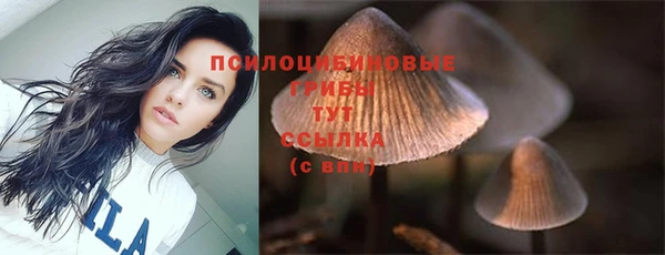 MDMA Каменногорск