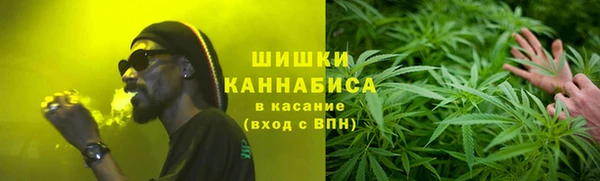 стаф Каменка
