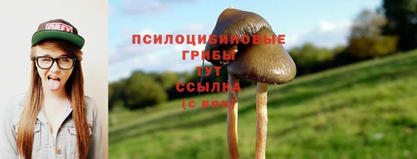 mdpv Каменск-Шахтинский