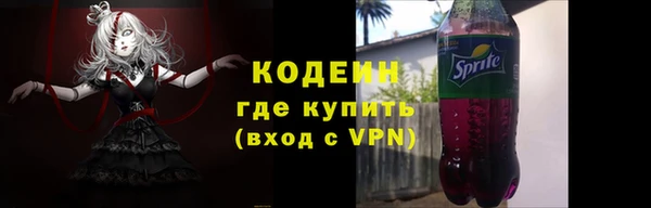 стаф Каменка