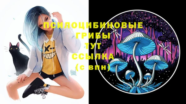 MDMA Каменногорск
