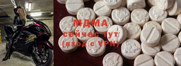 стаф Каменка