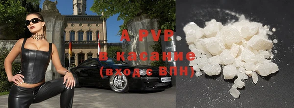стаф Каменка