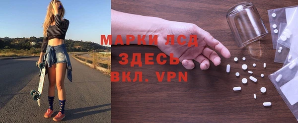 стаф Каменка