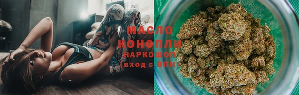 стаф Каменка