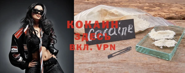 стаф Каменка